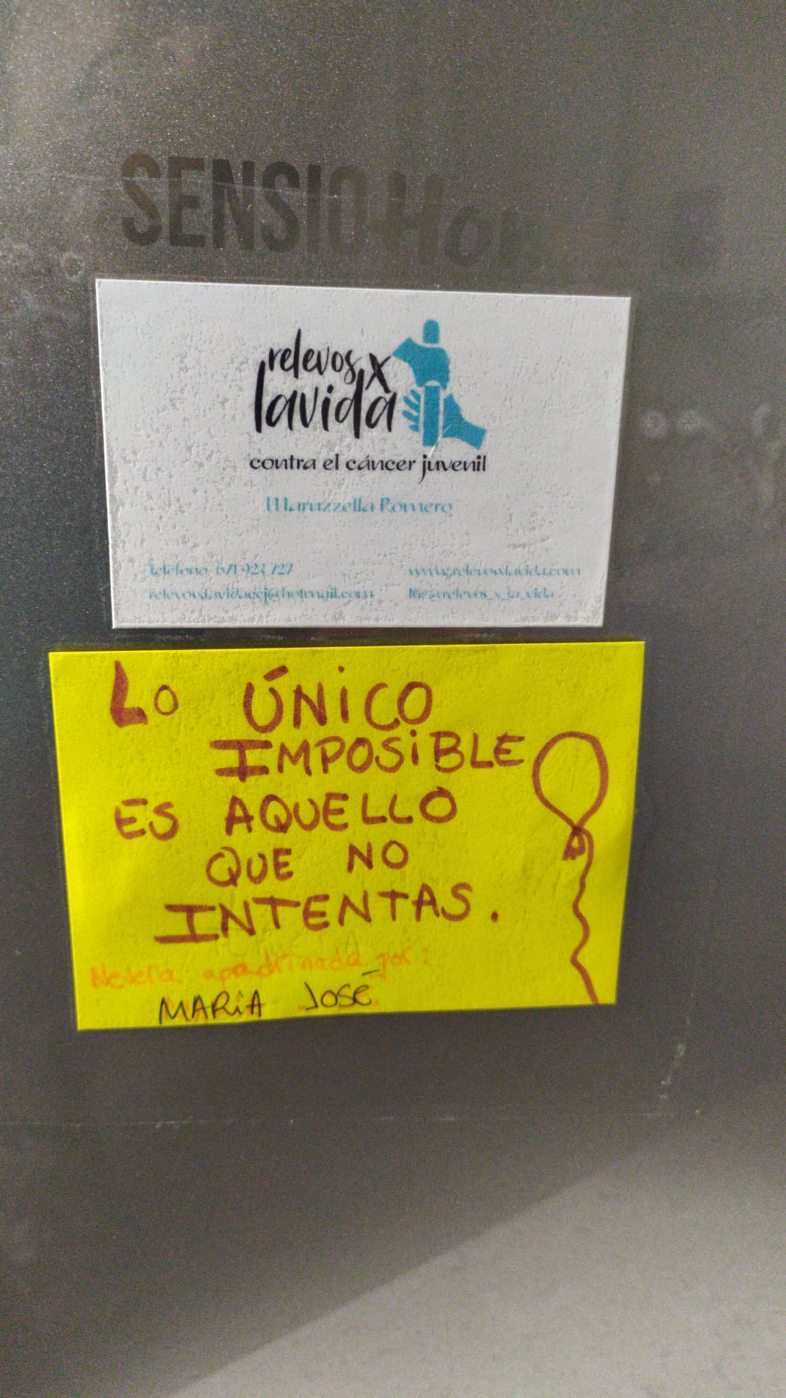 NEVERAS APADRINADAS.
