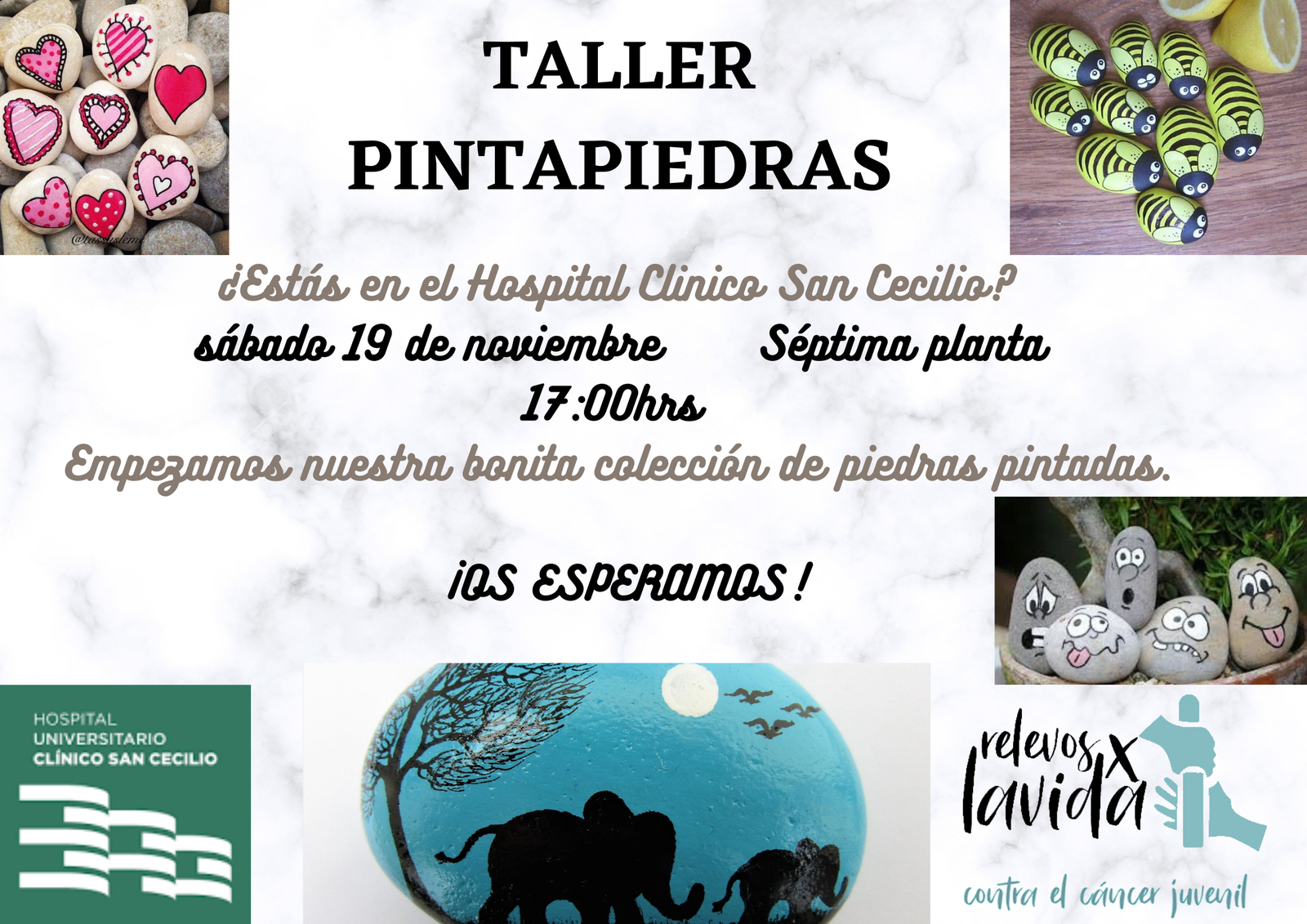 PINTAPIEDRAS LLEGA AL HOSPITAL UNIVERSITARIO SAN CECILIO GRANADA